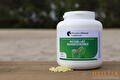 Mastic Horse Treatment
