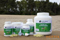Mastic Horse treatment