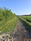 Galop strook paddock paradise