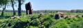 Paddock paradise en voedselbos voor paarden