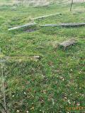Passieve fysio paarden