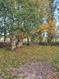 Natuurlijke schuilplaats paarden