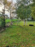 Paddock paradise paarden