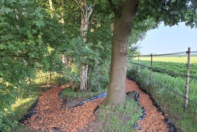 Puinpad ter bevordering van gezonde hoeven Paddock Paradise