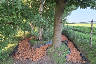 gebroken puin pad paddock paradise