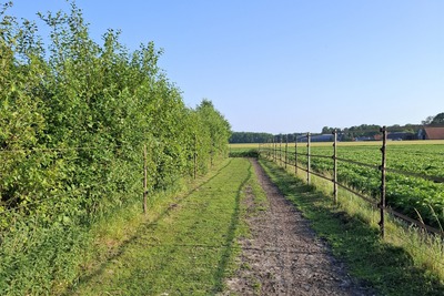 Galop strook paddock paradise