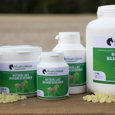 Mastic Horse treatment