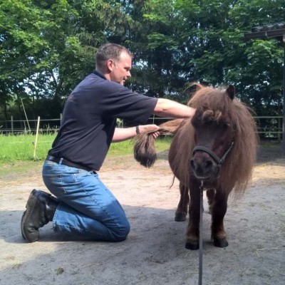 Osteopaat voor paarden